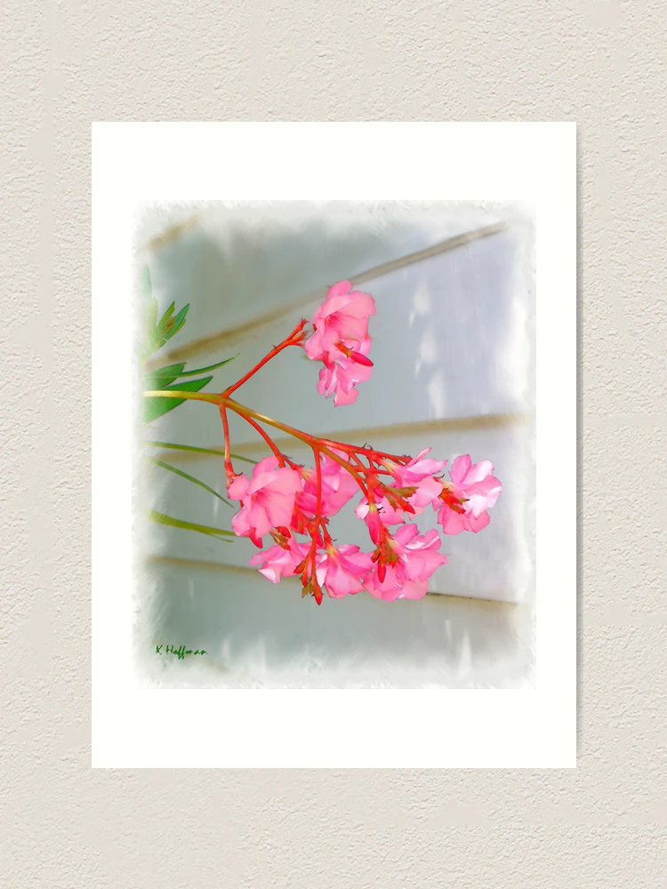 Thumbnail 1 of 3, Art Print, Pink Raeceme designed and sold by webster7.