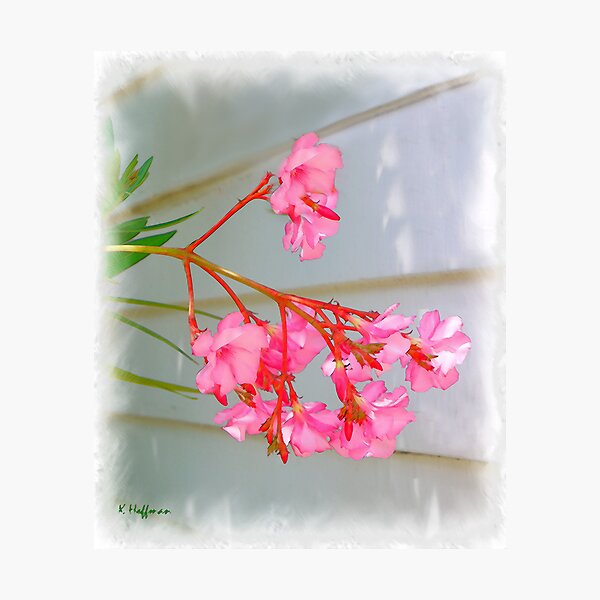 Item preview, Pink Raeceme designed and sold by webster7.