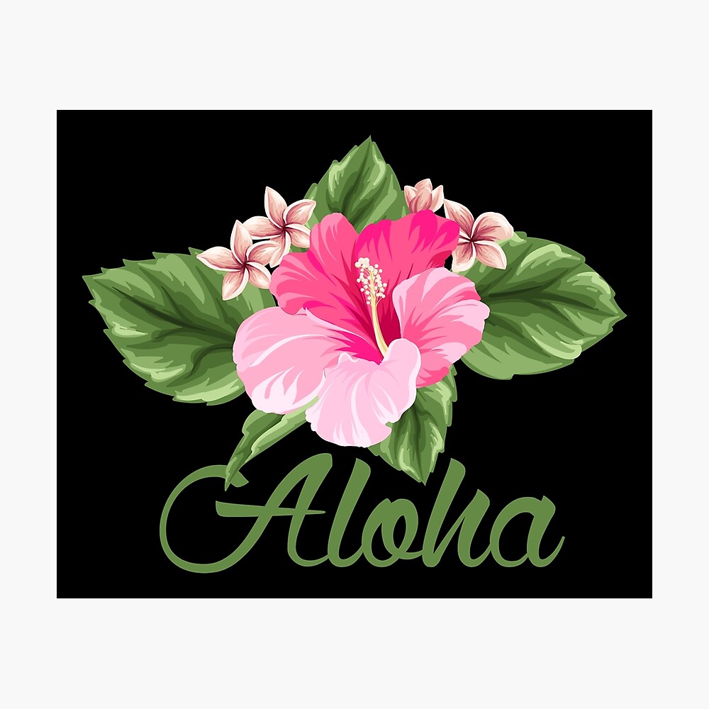 Aloha Hawaii Hibiscus Flower Poster By Sportst Shirts Redbubble