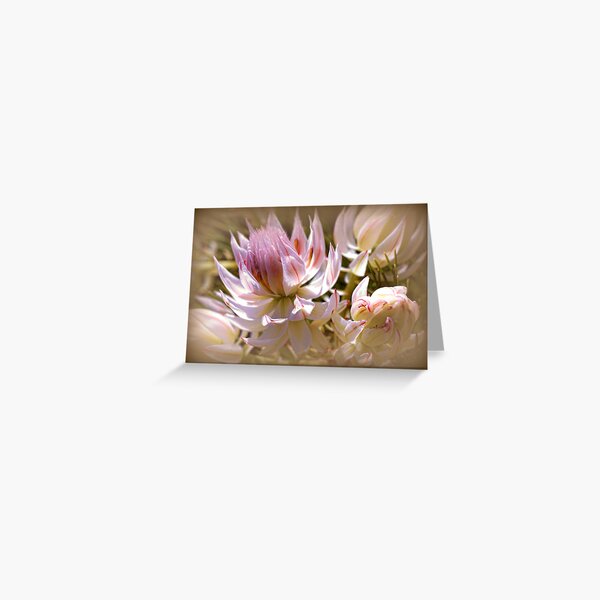 Fantasy.... Greeting Card