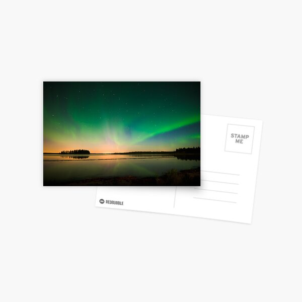 Northern Lights - Elk Island National Park (Edmonton, AB Canada) Postcard