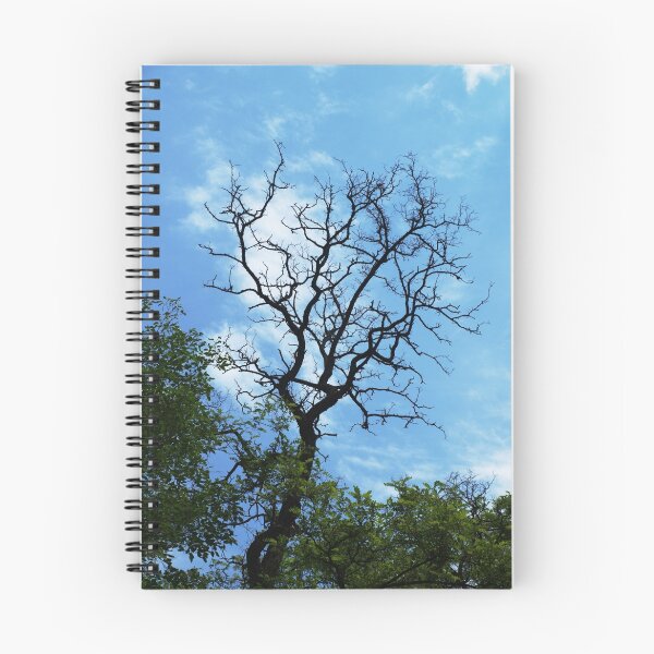 Item preview, Branch of acacia designed and sold by vladromensky.