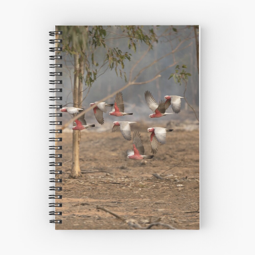 Item preview, Spiral Notebook designed and sold by RozHarman.