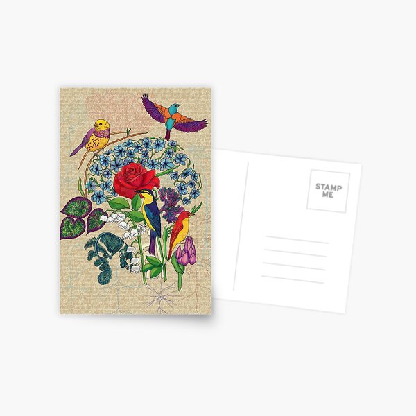 Bird/Brain Postcard