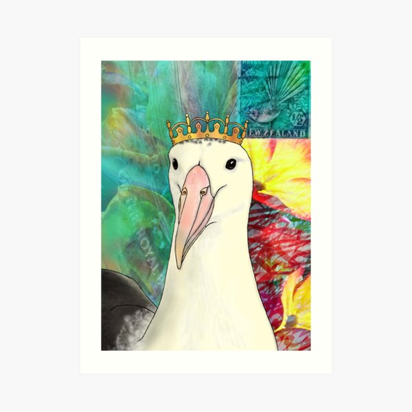 Northern Royal Albatross Art Print