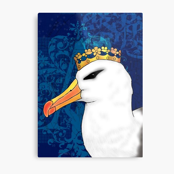 Black-browed Albatross Metal Print