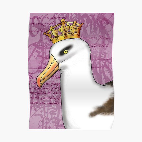 Campbell Albatross Poster
