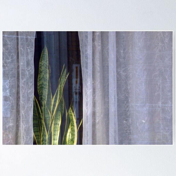 Item preview, Lace curtain designed and sold by SoulSparrow.