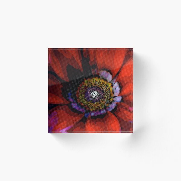 Item preview, Osteospermum daisy designed and sold by sajasca.