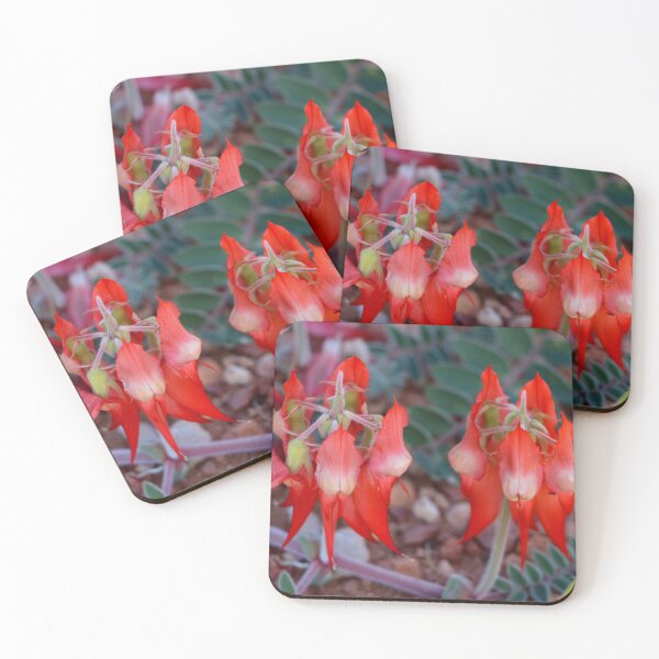 Item preview, Sturt's Desert Pea (pale centre), Australia designed and sold by FranWest.