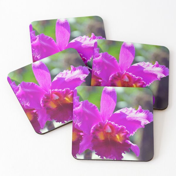 Item preview, Purple Orchid designed and sold by fnq-photography.