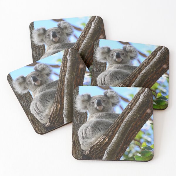 Item preview, Wild Australian koala in a gum tree designed and sold by Meg Forbes.