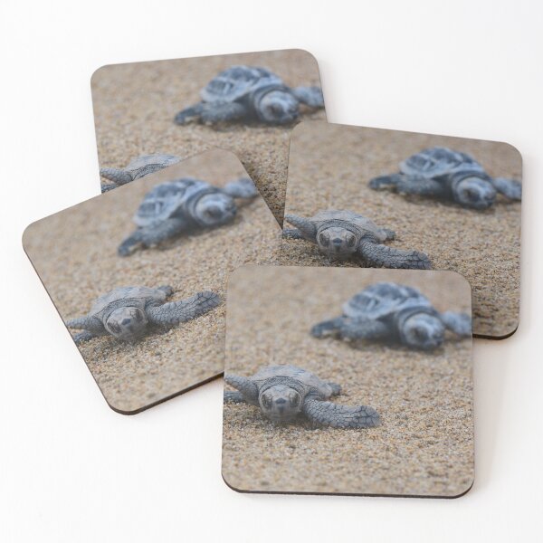 Item preview, Critically endangered loggerhead turtle hatchlings racing down to the ocean designed and sold by Meg Forbes.