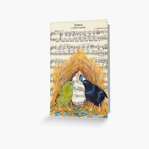 Bowerbirds Greeting Card