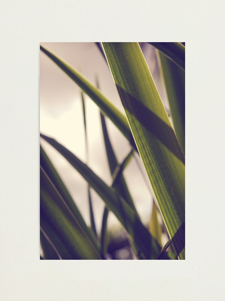 Alternate view of Day 63 - 11th September 2011 Photographic Print