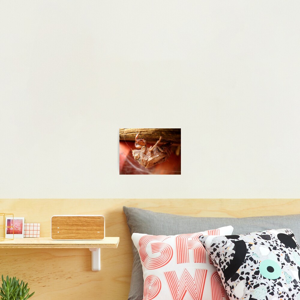 Vista previa del artículo con la obra «Lámina fotográfica», diseñado y vendido por njumer.