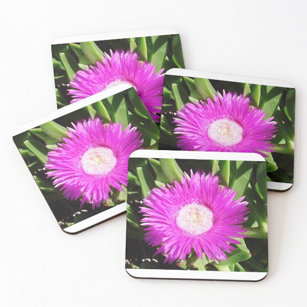 Item preview, Pink succulent flower in bloom designed and sold by NJH110.
