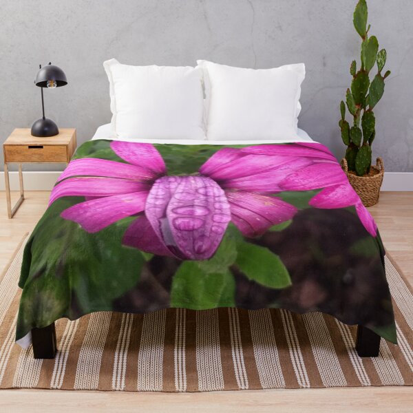 Item preview, Pink African Daisy flowers after the rain designed and sold by Anna Lemos.