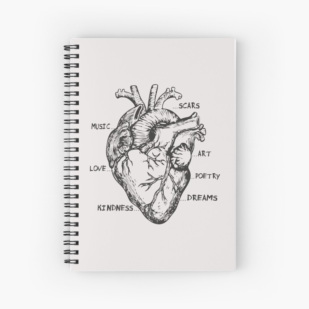 Line Drawing Of An Anatomical Human Heart On Paper Background, A Picture Of  A Heart Drawing, Heart, Love Background Image And Wallpaper for Free  Download