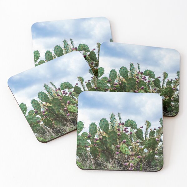 Item preview, Prickly pears fruit. Sabres, fruits of Opuntia ficus-indica species of cactus, also called as Indian fig opuntia designed and sold by EG Creativity Art.