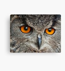 Eurasian Eagle Owl Canvas Print