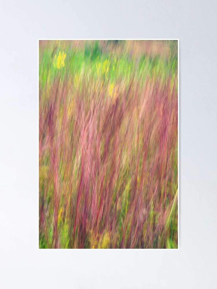 "Kitty Todd Nature Preserve Prairie Grass Impressionism" Poster for