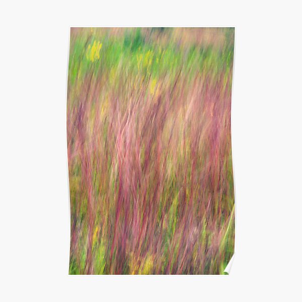 "Kitty Todd Nature Preserve Prairie Grass Impressionism" Poster for