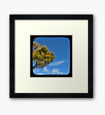 Blue 1 Framed Print