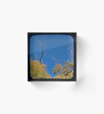 Blue 2 Acrylic Block