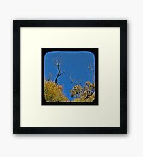 Blue 2 Framed Print