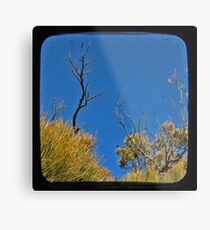 Blue 2 Metal Print
