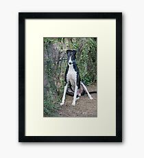 Butch Framed Print