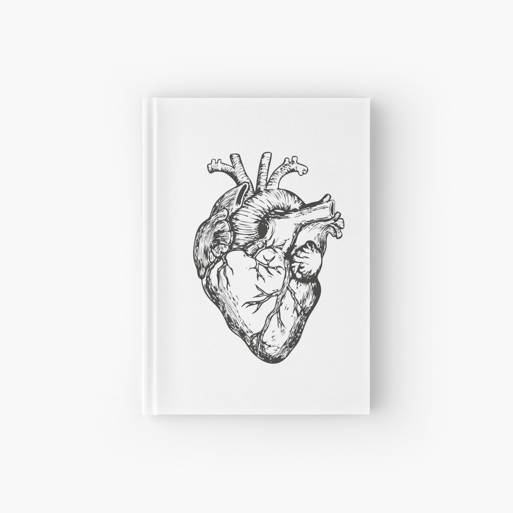 洋楽 SHAPE OF HEART, SHAPE OF HUMAN Shape Of Heart, Shape Of Human | Lessener