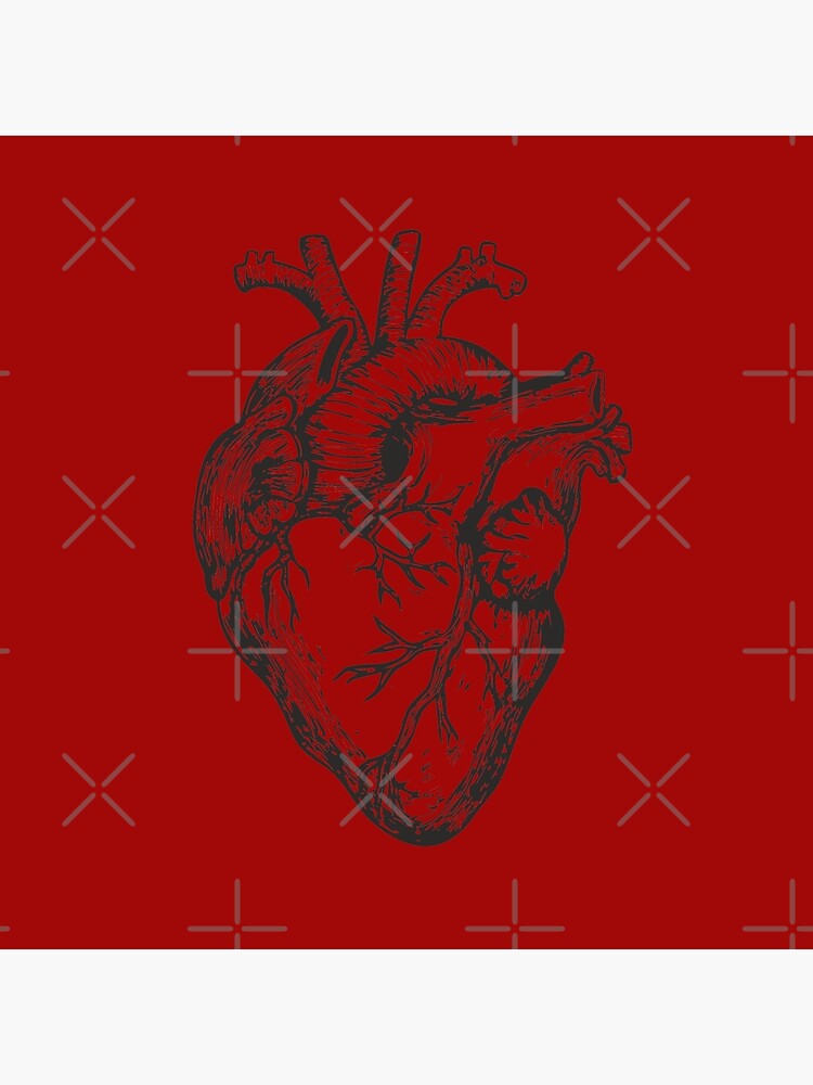 洋楽 SHAPE OF HEART, SHAPE OF HUMAN Shape Of Heart, Shape Of Human | Lessener