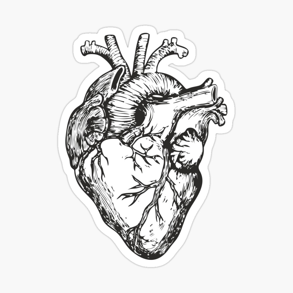 real human heart