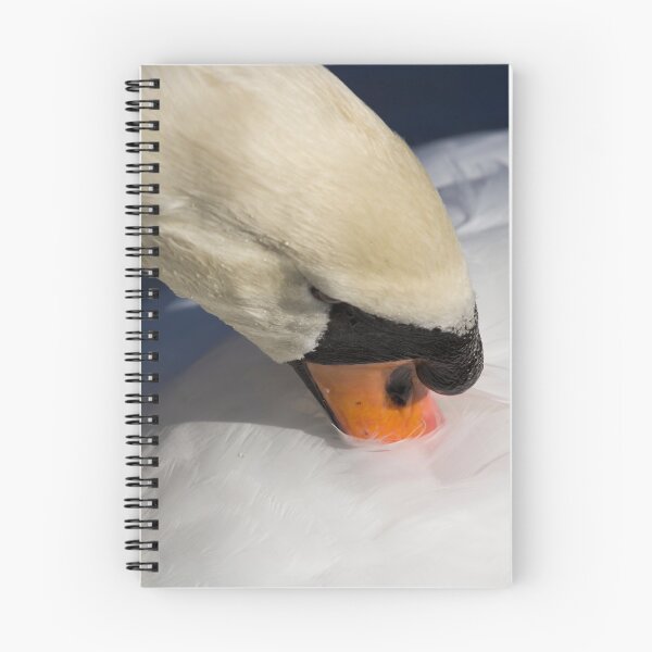 Item preview, The Preening Swan designed and sold by Londonimages.