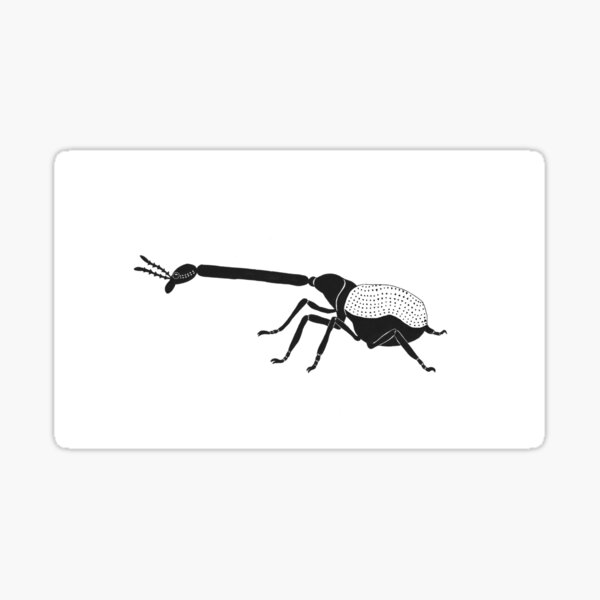 Giraffe Weevil (ink illustrations of weird animals that are real) Sticker