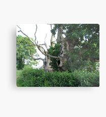 Gog and Magog Metal Print