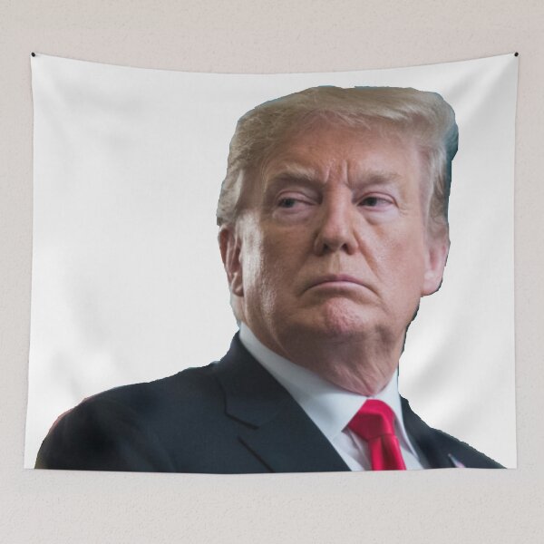 Item preview, trump designed and sold by thefigs.