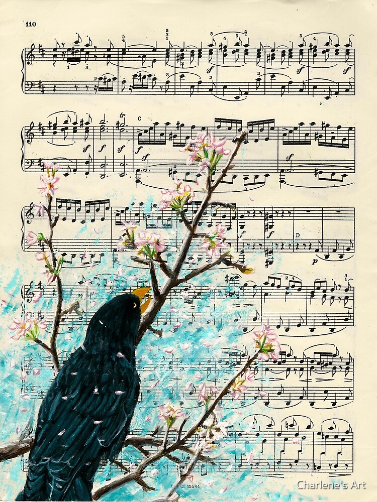 Blackbird by CharmyRaven