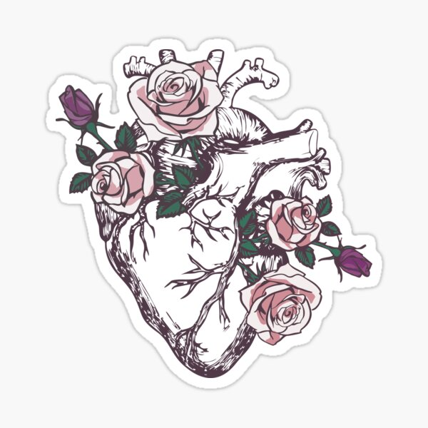 Anatomical Heart Floral Heart Anatomy and Flowers Cute Roses Sticker