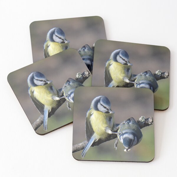 Item preview, Stop Thief! designed and sold by Holmewood.