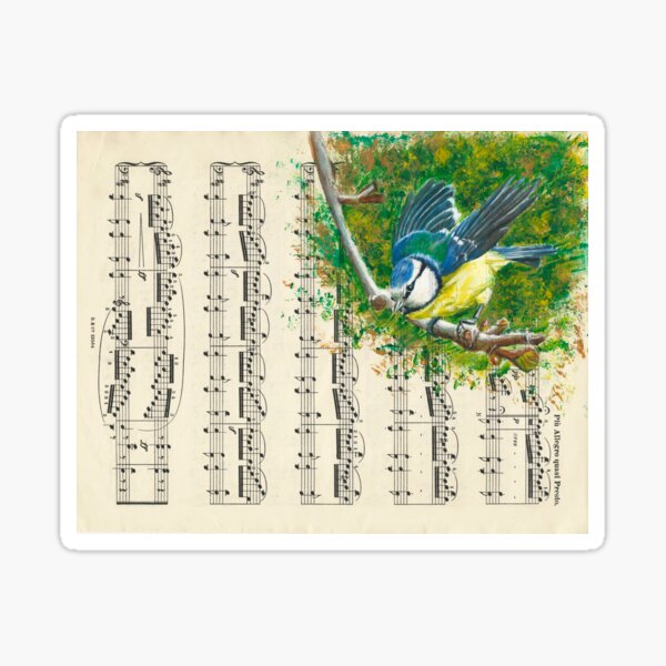 Blue Tit Sticker