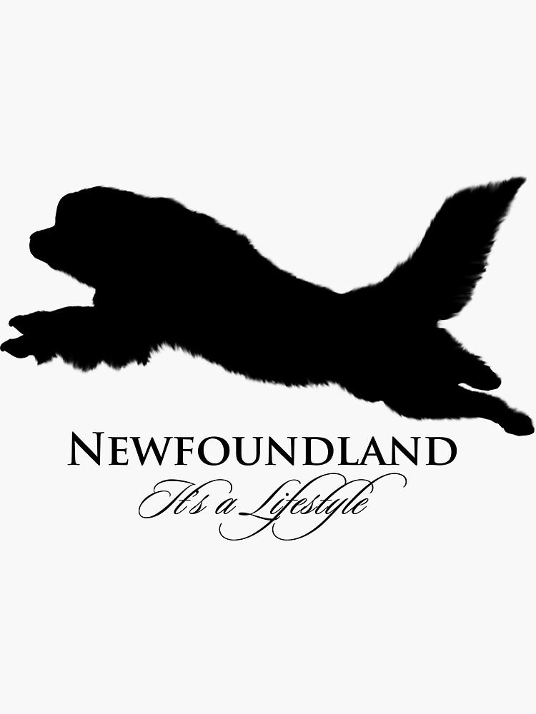 Newfoundland: It's a Lifestyle by itsmechris