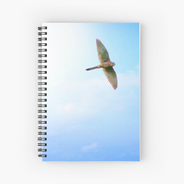Kestrel in flight Spiral Notebook