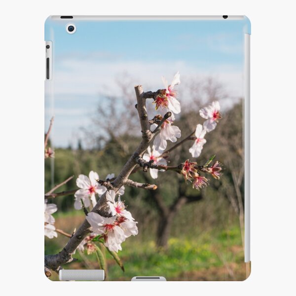 Mallorca almond blossom iPad Snap Case