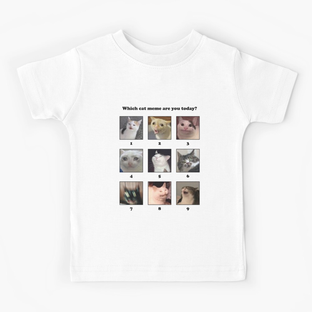 Which Cat Meme Are You Today Kids T Shirt By Coffeewithmilk Redbubble