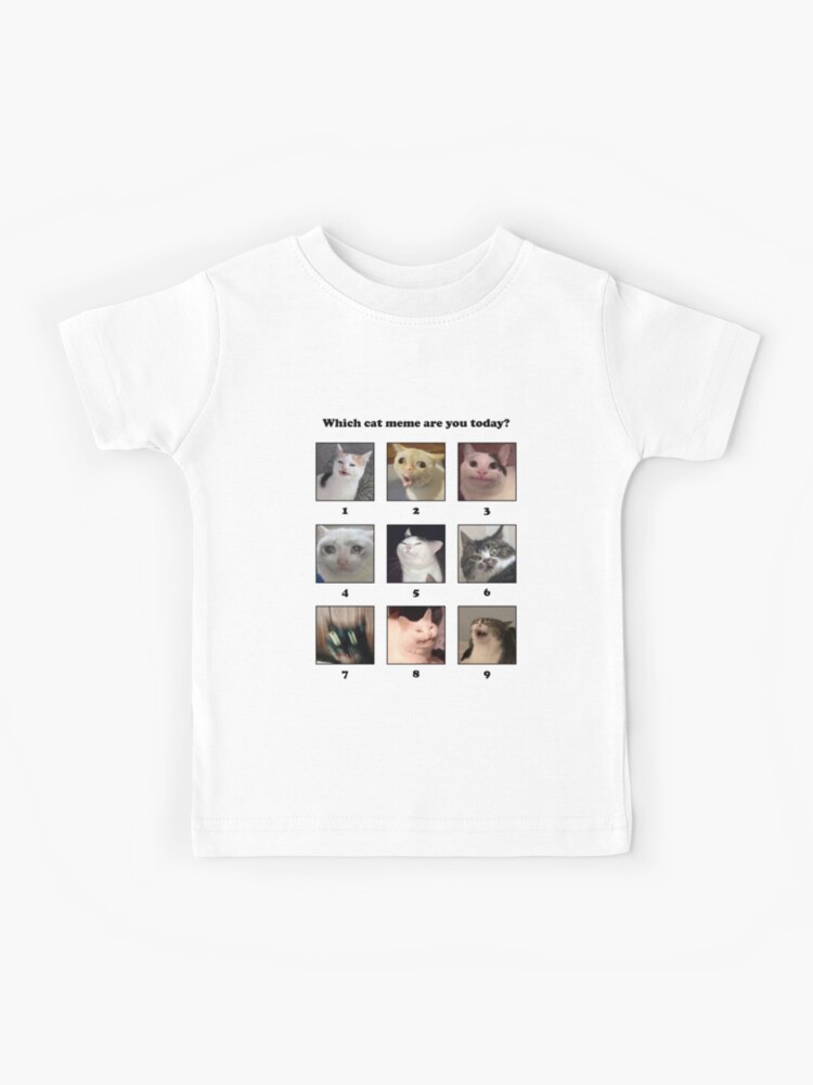 Which Cat Meme Are You Today Kids T Shirt By Coffeewithmilk Redbubble