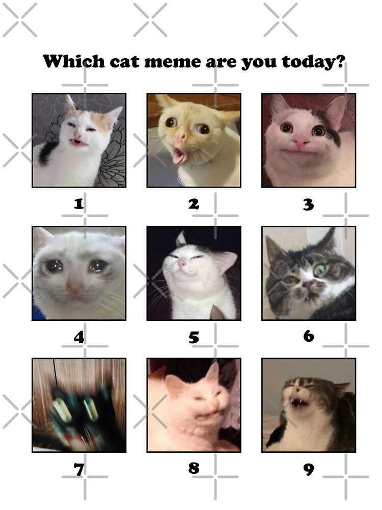 Which Cat Meme Are You Today Kids T Shirt By Coffeewithmilk Redbubble