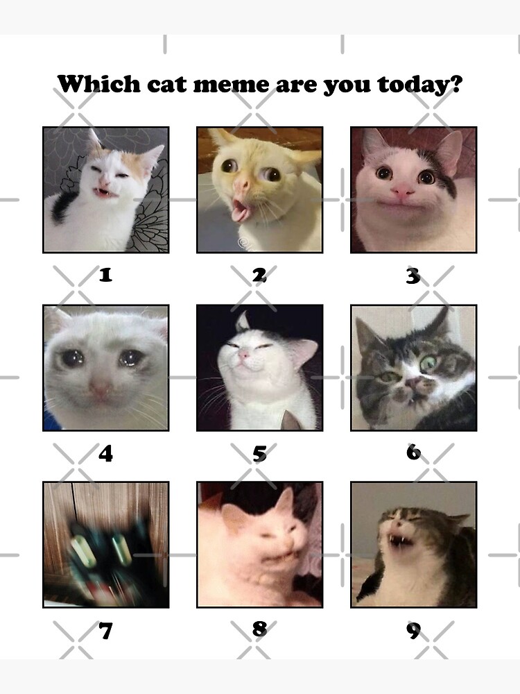 Which Cat Meme Are You Today Greeting Card By Coffeewithmilk Redbubble